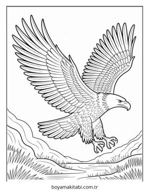 Kartal boyama sayfası – basit çizim, kolay boyama