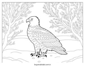 Kartal boyama sayfası – evde etkinlik, ücretsiz yazdır