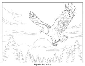 Kartal boyama sayfası – keyifli zaman, renkli çizimler