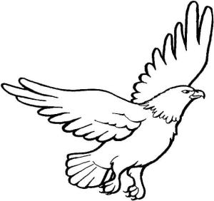 Kartal boyama sayfası, coloring page, Özgür Kartal,