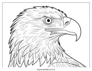 Kartal boyama sayfası – çocuk aktivitesi, PDF indir