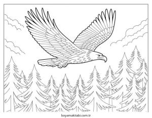 Kartal boyama sayfası – sanatsal çalışma, çocuklar için