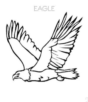 Kartal boyama sayfası, coloring page, Temel Çizim Kartalı,
