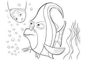 Kayıp Balık Nemo boyama sayfası,  coloring page, Gill, 