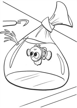 Kayıp Balık Nemo boyama sayfası,  coloring page, Çantada Nemo, 