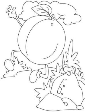 Kayısı boyama sayfası,  coloring page, Kayısı Koşusu, 