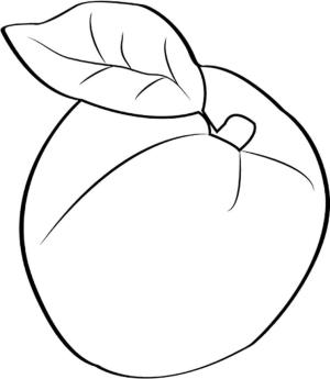 Kayısı boyama sayfası,  coloring page, Normal Kayısı, 