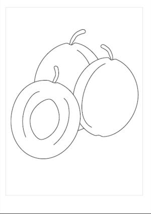 Kayısı boyama sayfası,  coloring page, Üç Kolay Kayısı, 