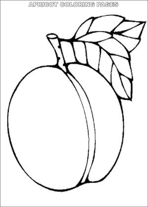 Kayısı boyama sayfası,  coloring page, Basit Kayısı, 