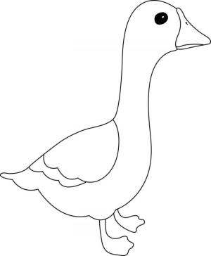 Kaz boyama sayfası,  coloring page, Küçük Kaz, 