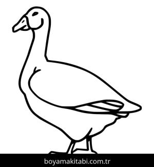 Kaz boyama sayfası – yaratıcılığı geliştirir, keyifli zaman