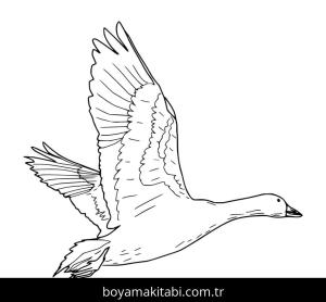 Kaz boyama sayfası – sevimli karakter, sanatsal çalışma