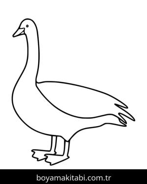 Kaz boyama sayfası – çizgi film temalı, basit çizim