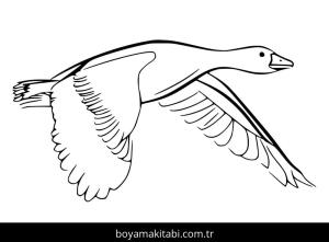 Kaz boyama sayfası – el becerilerini geliştirir, boyama çalışması