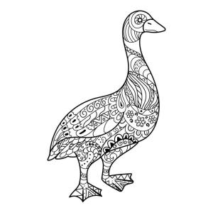 Kaz boyama sayfası,  coloring page, Kaz Yetişkinler Içindir, 