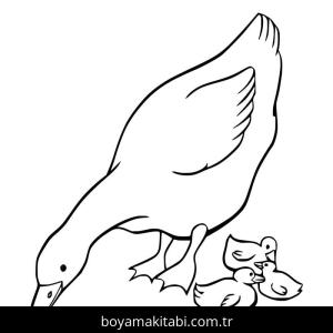 Kaz boyama sayfası – evde etkinlik, ücretsiz yazdır