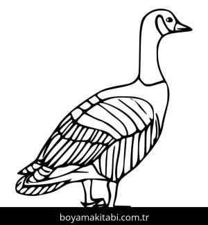 Kaz boyama sayfası – boyama çalışması, yaratıcılığı geliştirir