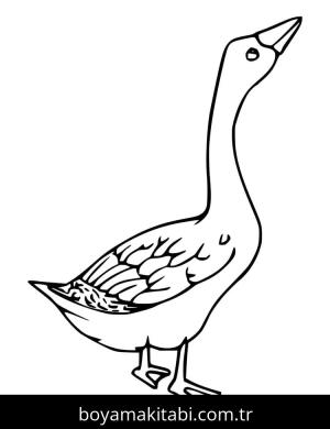 Kaz boyama sayfası – çizgi film temalı, basit çizim