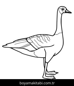 Kaz boyama sayfası – evde etkinlik, ücretsiz yazdır