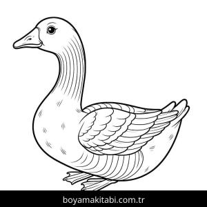 Kaz boyama sayfası – yaratıcılık, eğlenceli etkinlik