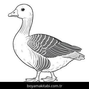 Kaz boyama sayfası – el becerilerini geliştirir, boyama çalışması