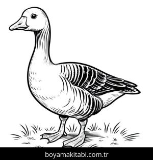 Kaz boyama sayfası – keyifli zaman, renkli çizimler