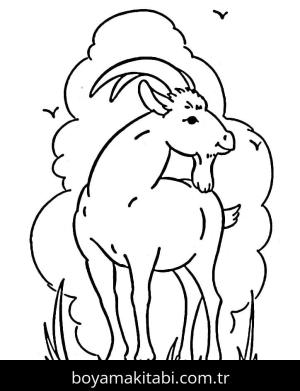 Keçi boyama sayfası – kolay boyama, eğitici aktivite