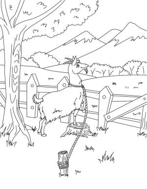 Keçi boyama sayfası, Goat coloring page, Ahırda Keçi, 