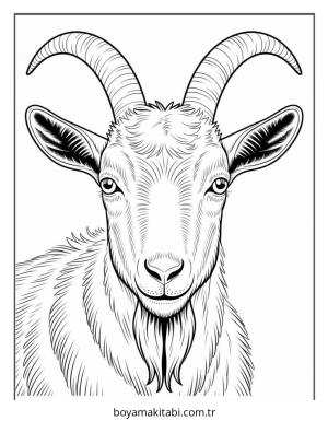 Keçi boyama sayfası – renkli çizimler, okul öncesi