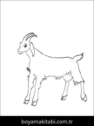Keçi boyama sayfası – boyama etkinliği, çocuk aktivitesi