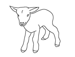 Keçi boyama sayfası, Goat coloring page, Bebek Keçi, 