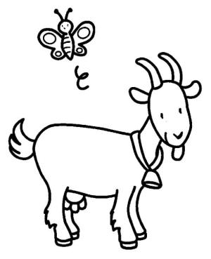 Keçi boyama sayfası, Goat coloring page, Keçi ve Kelebek, 