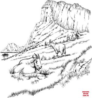 Keçi boyama sayfası, Goat coloring page, , goats two mountain goats 