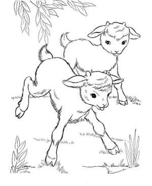 Keçi boyama sayfası, Goat coloring page, İki Chibi Keçisi, 