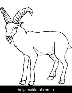 Keçi boyama sayfası – yaratıcılık, eğlenceli etkinlik