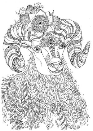 Keçi boyama sayfası, Goat coloring page, Sert Keçi, 