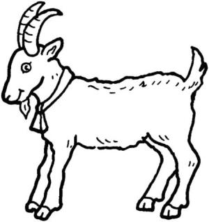 Keçi boyama sayfası, Goat coloring page, Temel Keçi, 