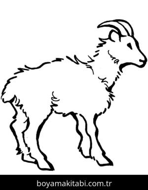 Keçi boyama sayfası – çocuk aktivitesi, PDF indir