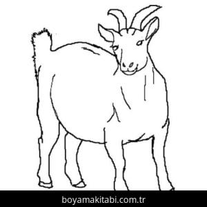 Keçi boyama sayfası – keyifli zaman, renkli çizimler