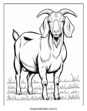 Keçi boyama sayfası – basit çizim, kolay boyama