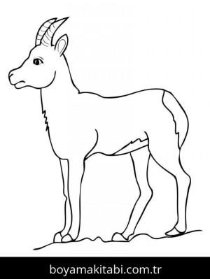 Keçi boyama sayfası – basit çizim, kolay boyama