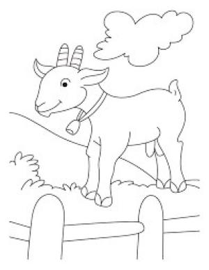 Keçi boyama sayfası, Goat coloring page, Normal Keçi, 