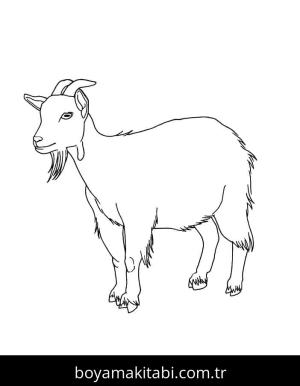 Keçi boyama sayfası – PDF indir, sevimli karakter