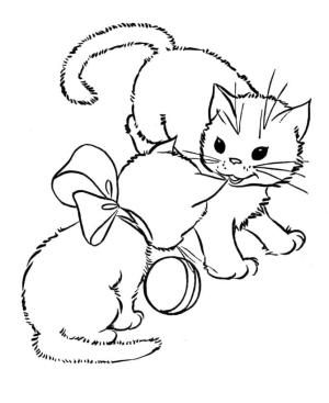 Kedi Yavrusu boyama sayfası,  coloring page, Iki Kedi Yavrusu Sevimli, 