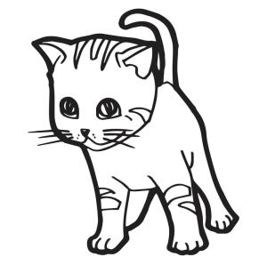 Kedi Yavrusu boyama sayfası,  coloring page, Yavru Kedi çizimi, 