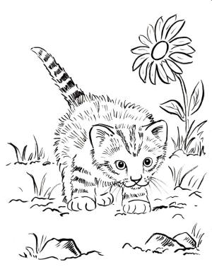 Kedi Yavrusu boyama sayfası,  coloring page, Kedi Yavrusu yürüme, 