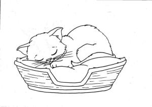 Kedi Yavrusu boyama sayfası,  coloring page, Uyuyor Kedi Yavrusu, 