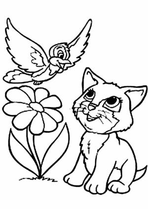 Kedi Yavrusu boyama sayfası,  coloring page, Yavru Kedi ve Kuş çiçeği, 