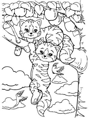 Kedi Yavrusu boyama sayfası,  coloring page, Kedi Yavrusu ağaçta, 