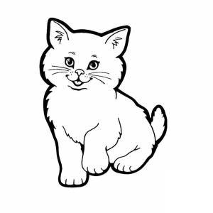 Kedi Yavrusu boyama sayfası,  coloring page, Temel Kedi Yavrusu, 